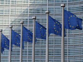 Editorial: Five questions answered, and one big message from the EU ETS review